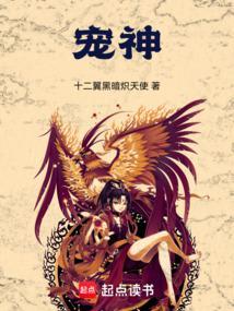 宠神 十二翼